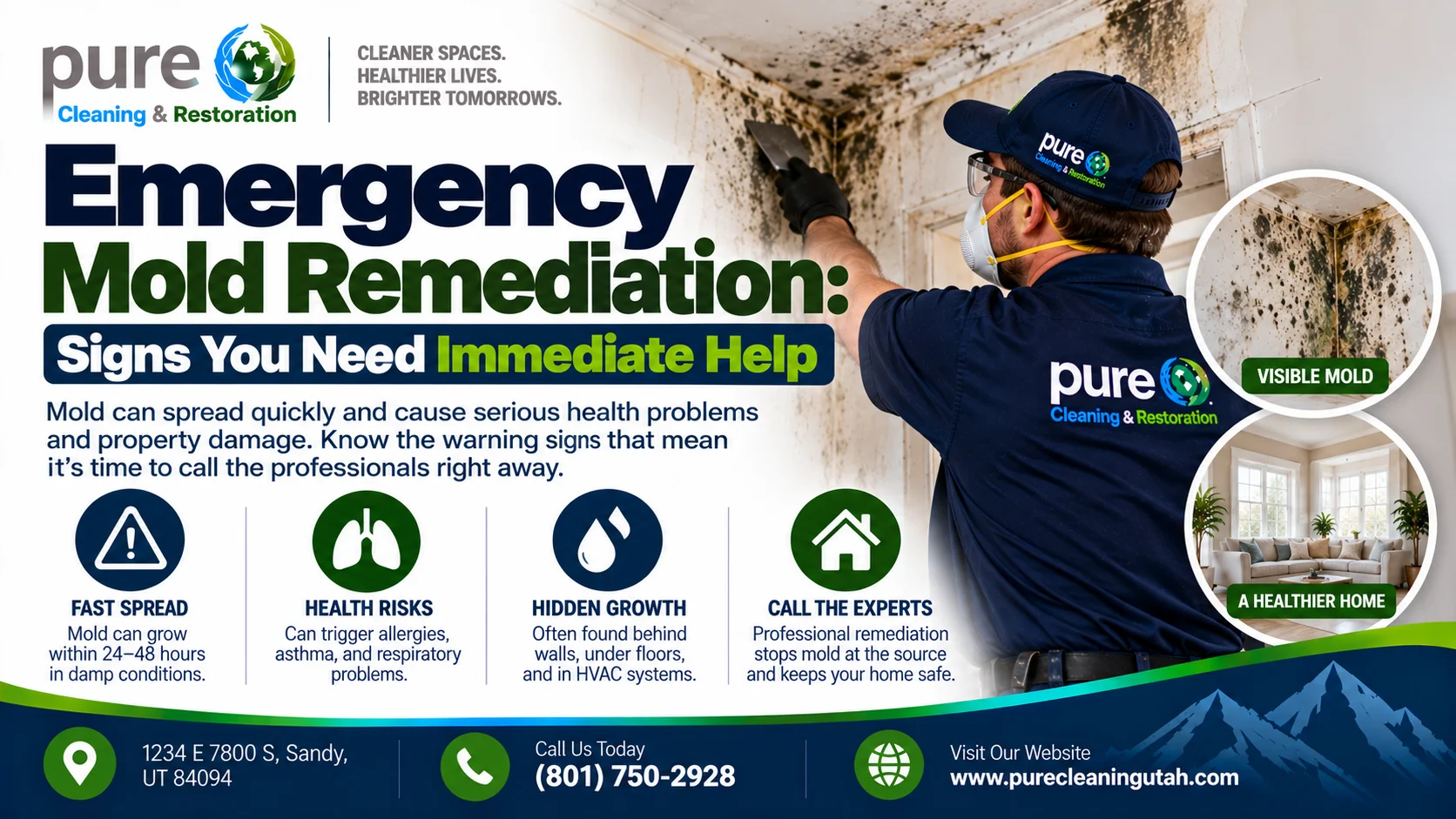 Emergency Mold Remediation: Signs You Need Immediate Help