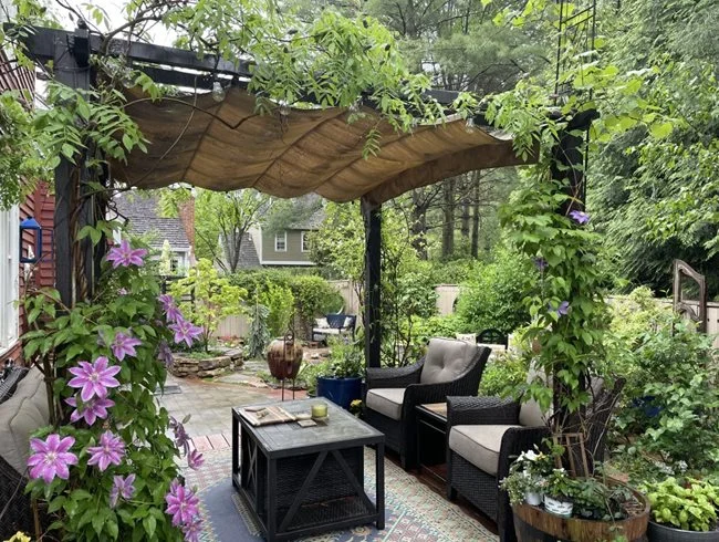 Sydney Backyard Design Ideas for Style, Functionality and Long-Term Value