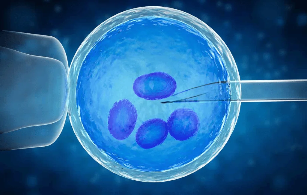 IVF Treatment: Understanding the Process, Benefits