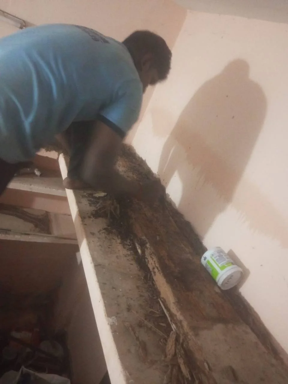 Are You Paying for a Termite Warranty You Can't Actually Claim? What to Check