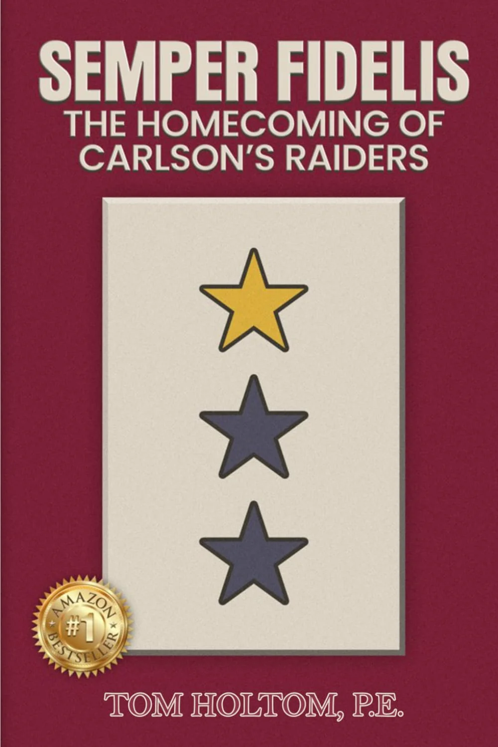 Inside the Search for 19 Lost Marines: Semper Fidelis by Tom Holtom