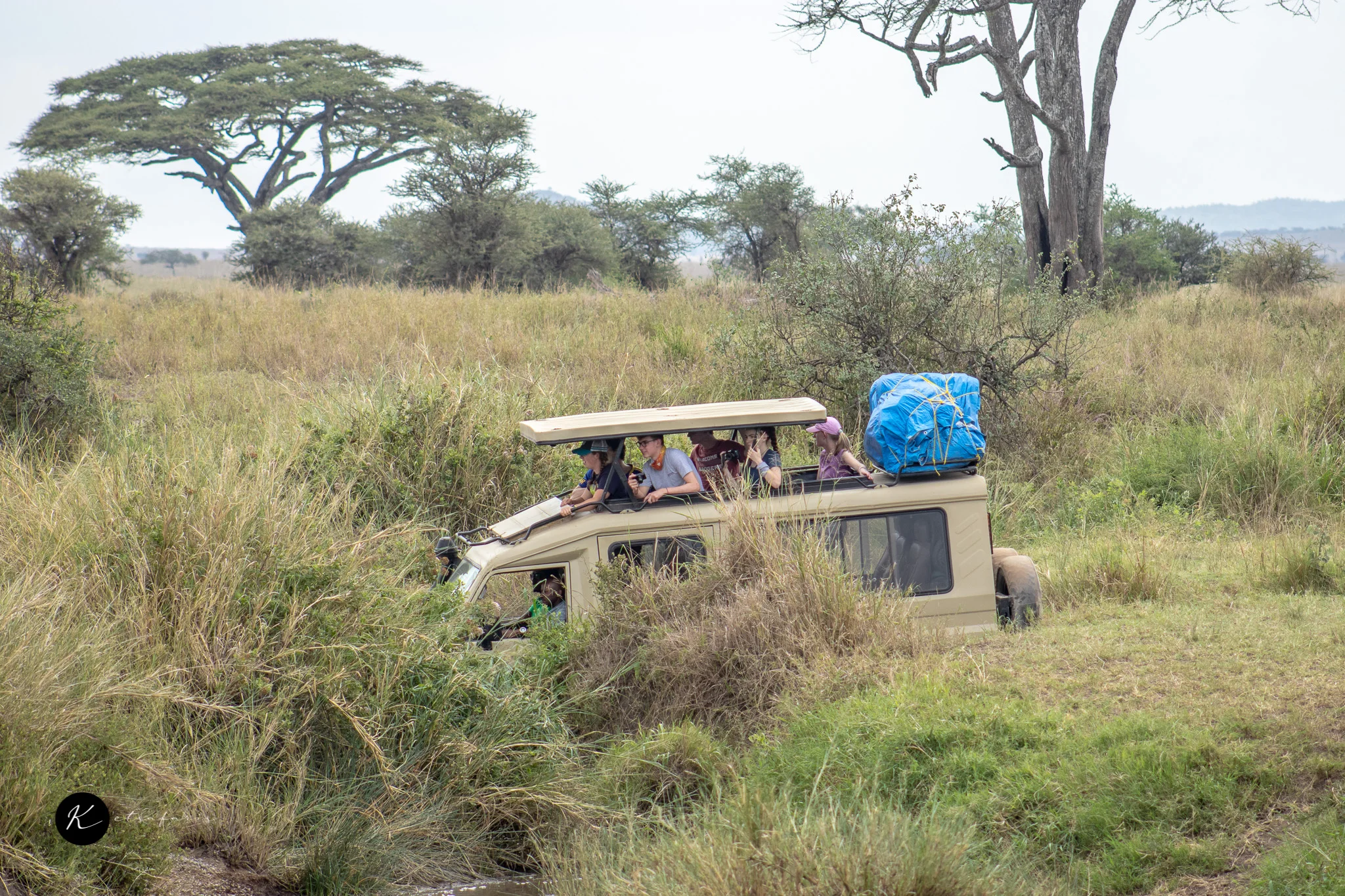 Budget, Mid-Range or Luxury Safari: What Are You Paying For?