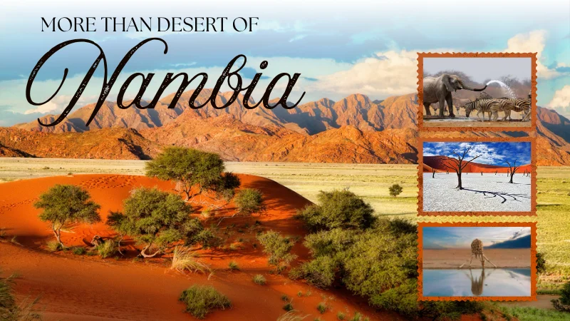 Namibia Is Not Just a Land of Sand Dunes