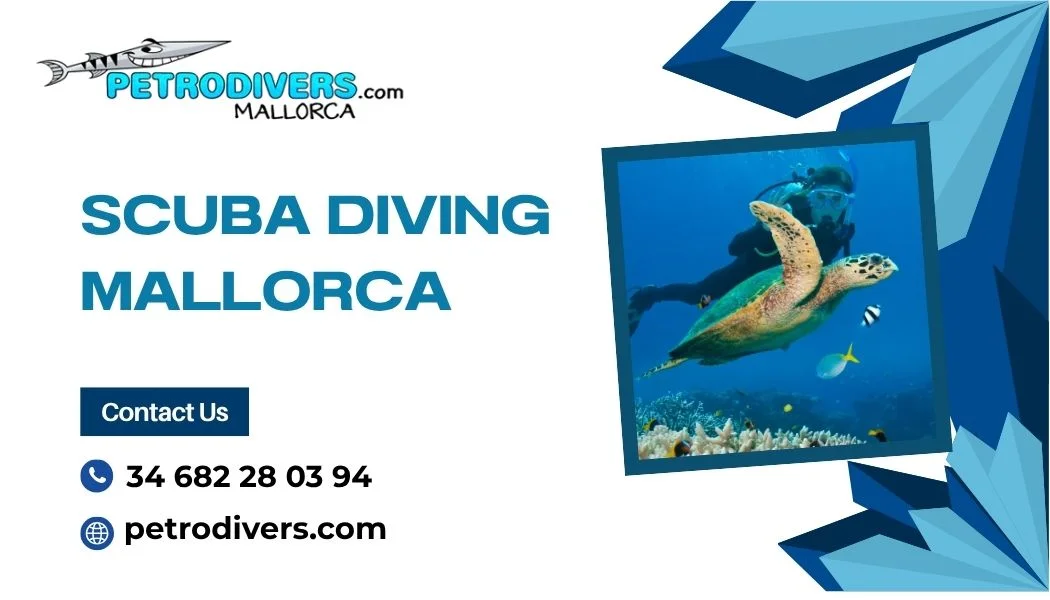 A Day Underwater in Mallorca: Is Scuba Diving for You?