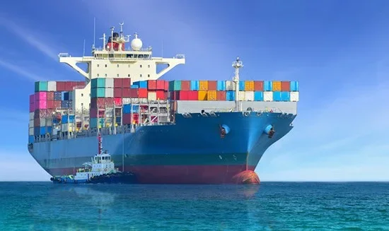 How Does a Sea Freight Forwarder in India Manage Cargo Transportation