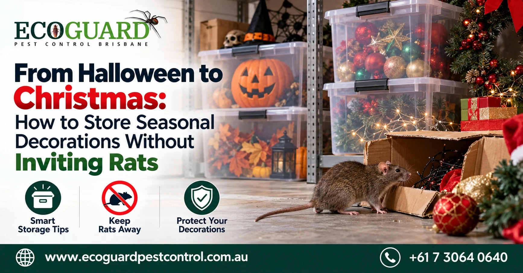 From Halloween to Christmas: How to Store Seasonal Decorations Without Inviting Rats