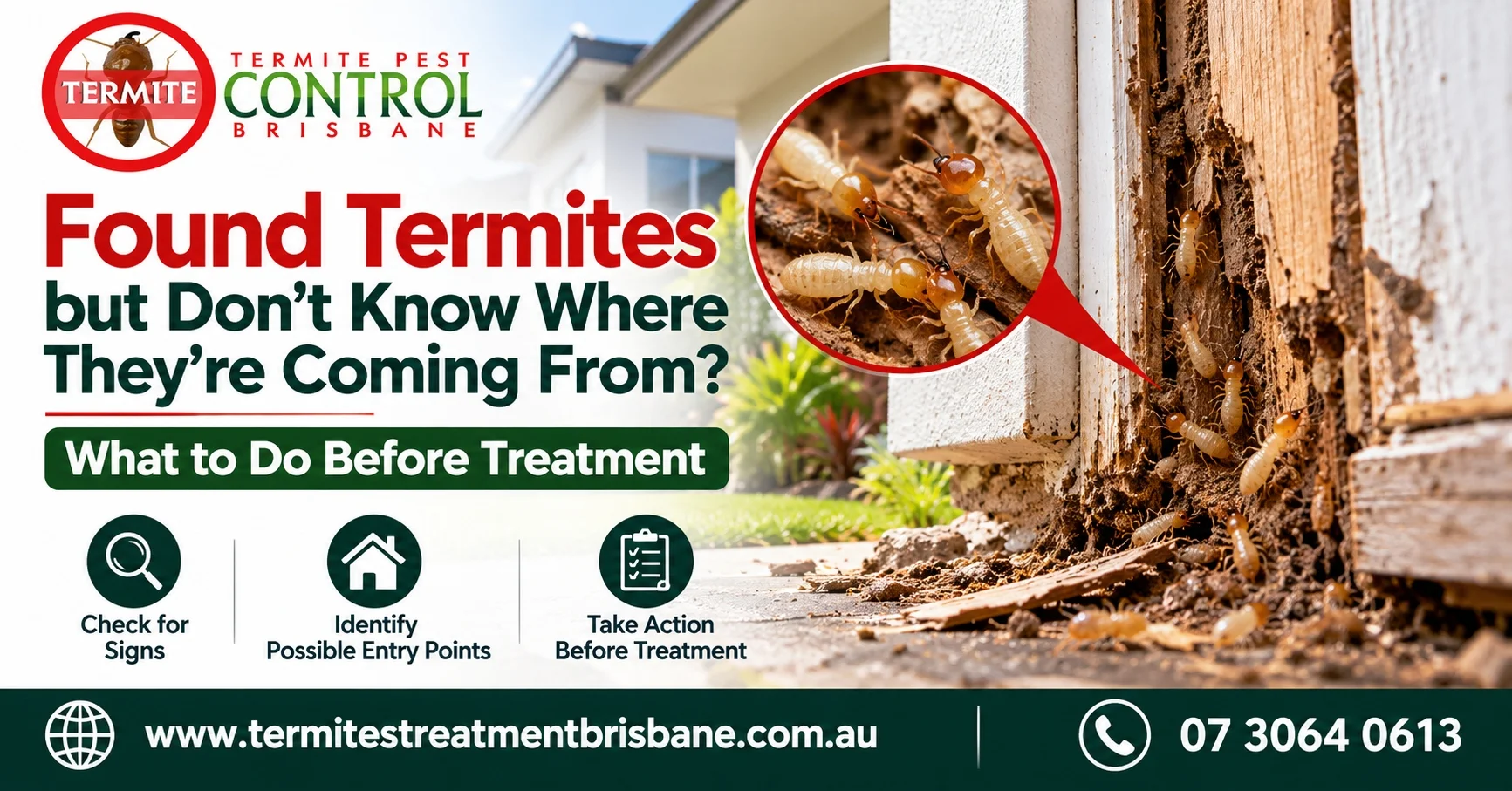 Found Termites but Don't Know Where They're Coming From? What to Do Before Treatment