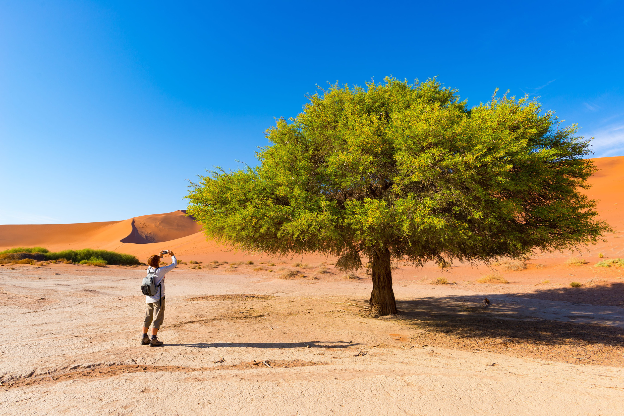 Namibia e-Visa for Ugandan Citizens – Requirements &amp; Apply Online