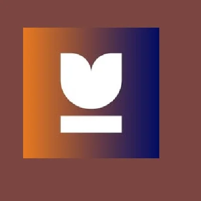 Bloom Legal Network