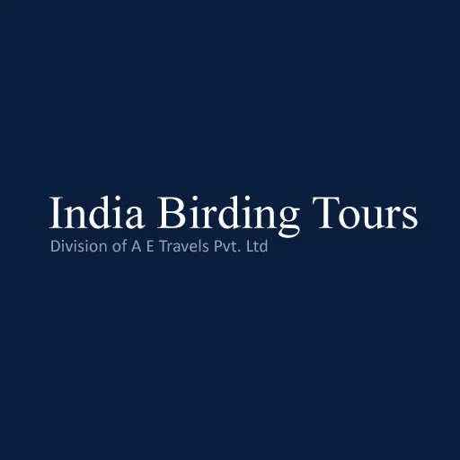 India Birding Tours