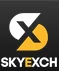 Skyexchange Art