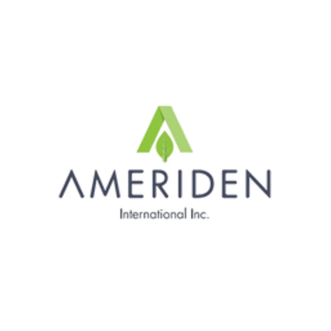 Ameriden International, Inc.