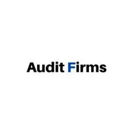 Audit Firmsae