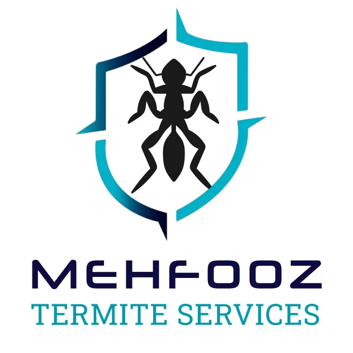mehfooztermite11