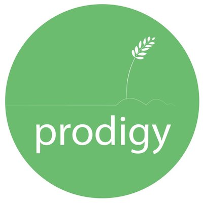 prodigyfoodss