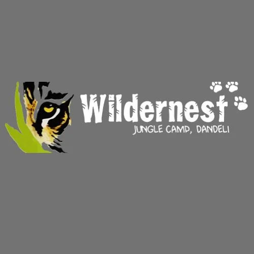 wildernest dandeli