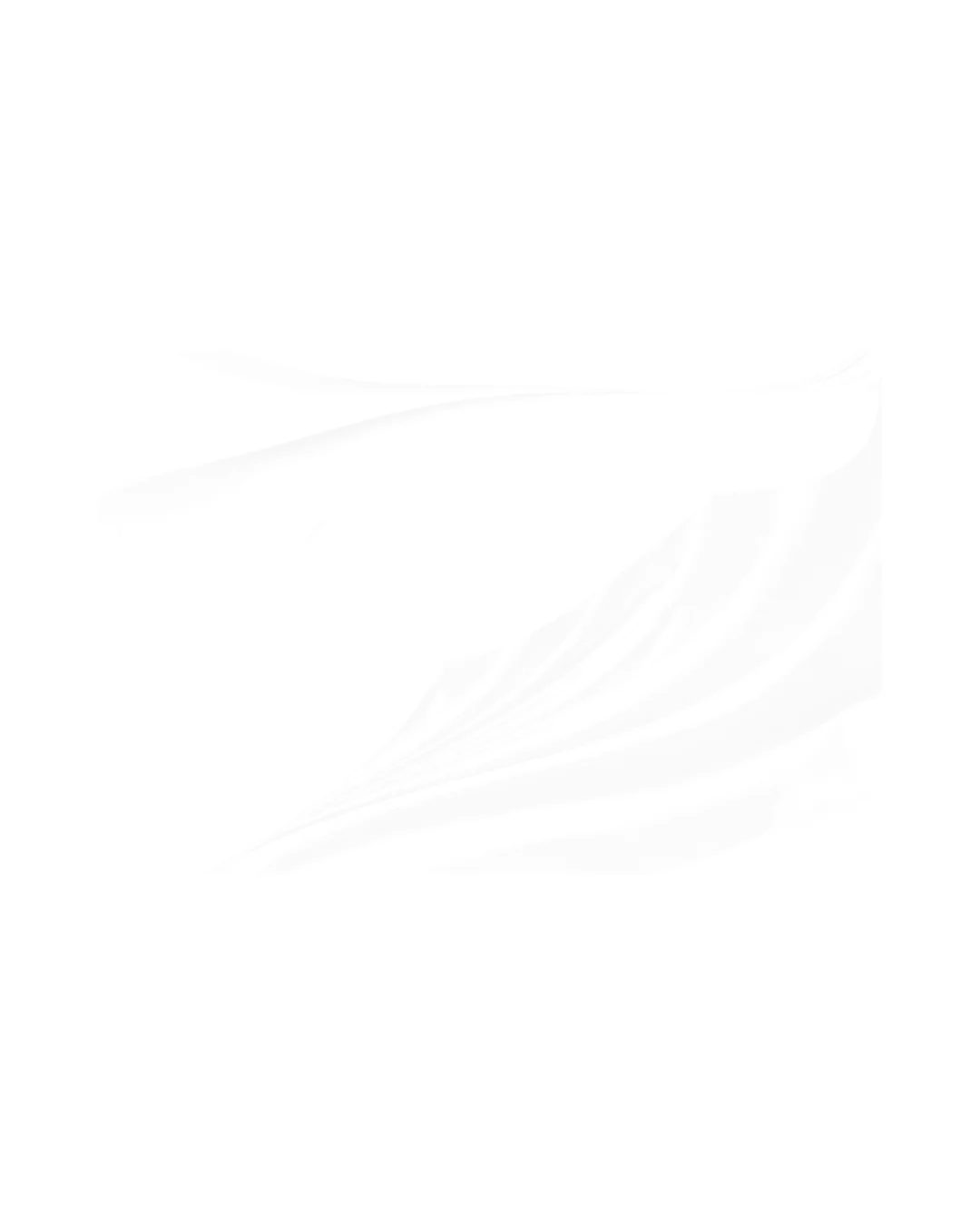 Bleier Dental