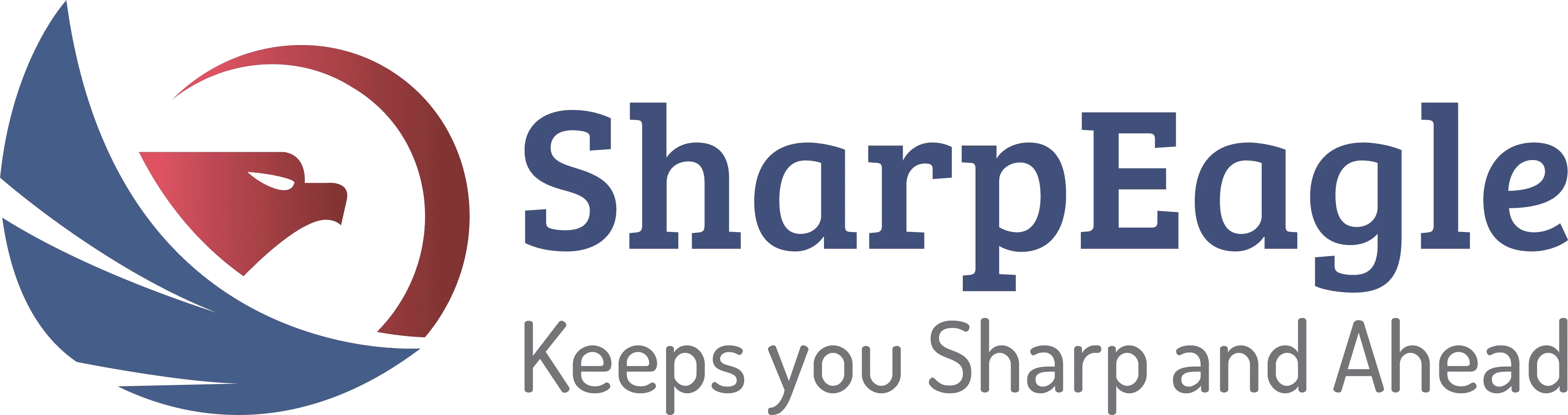 SHARPEAGLE TECHNOLOGY