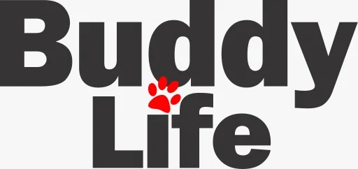buddy magazine