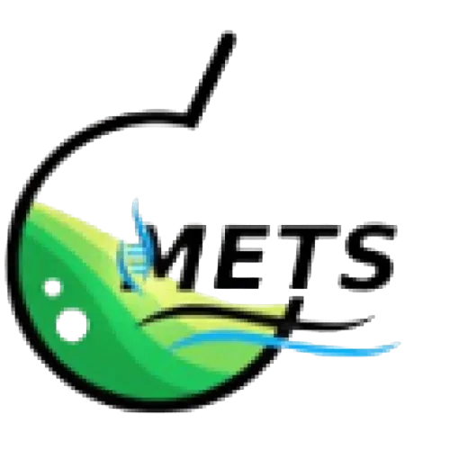 Mets Qatar