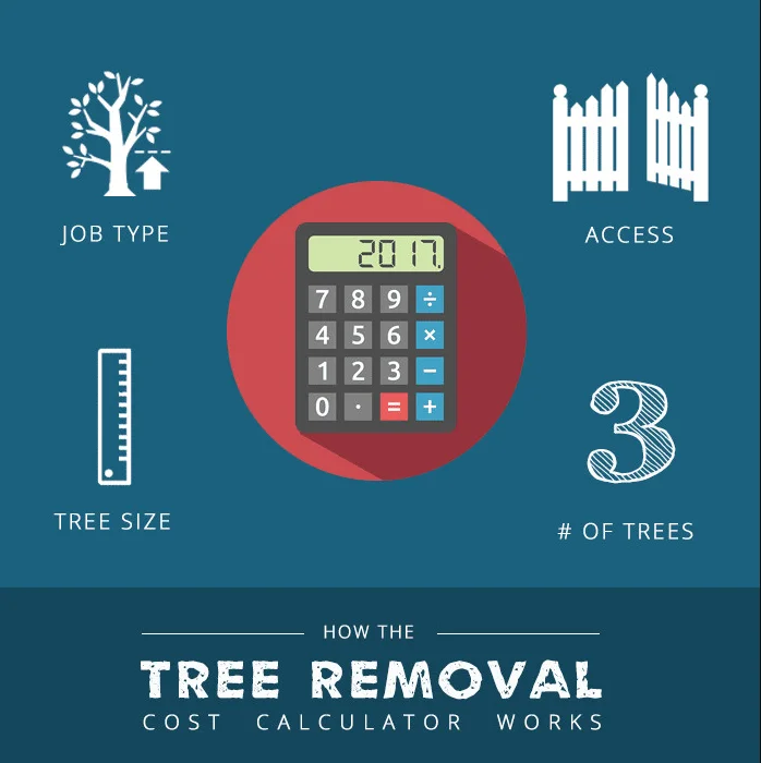 Tree Removal