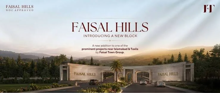 faisal hills