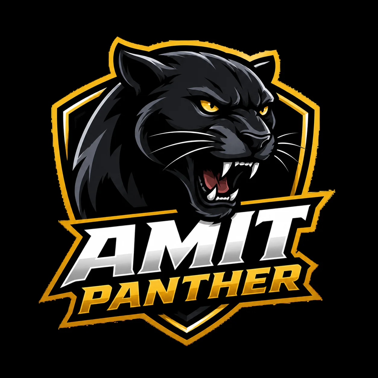 amit gautam