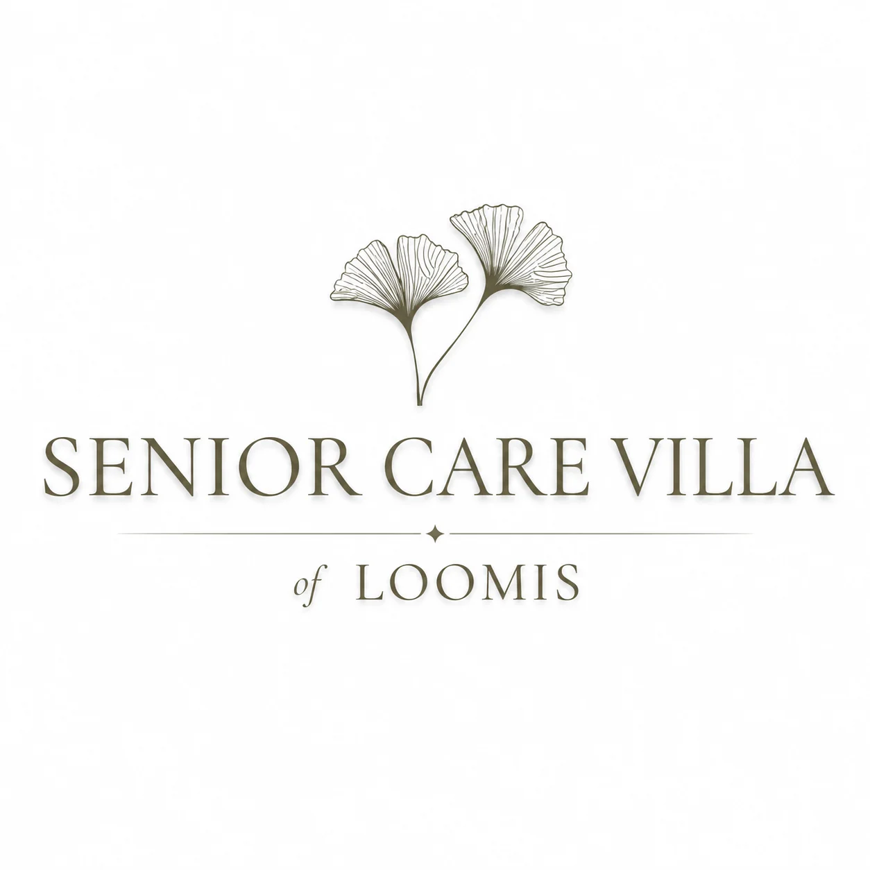 Senior Care Villa Of Loomis