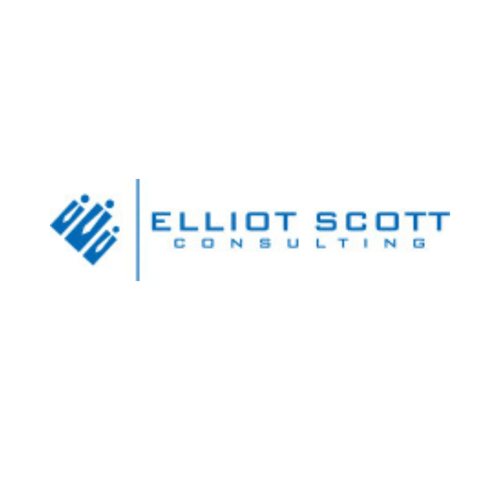 Elliot Scott Consulting