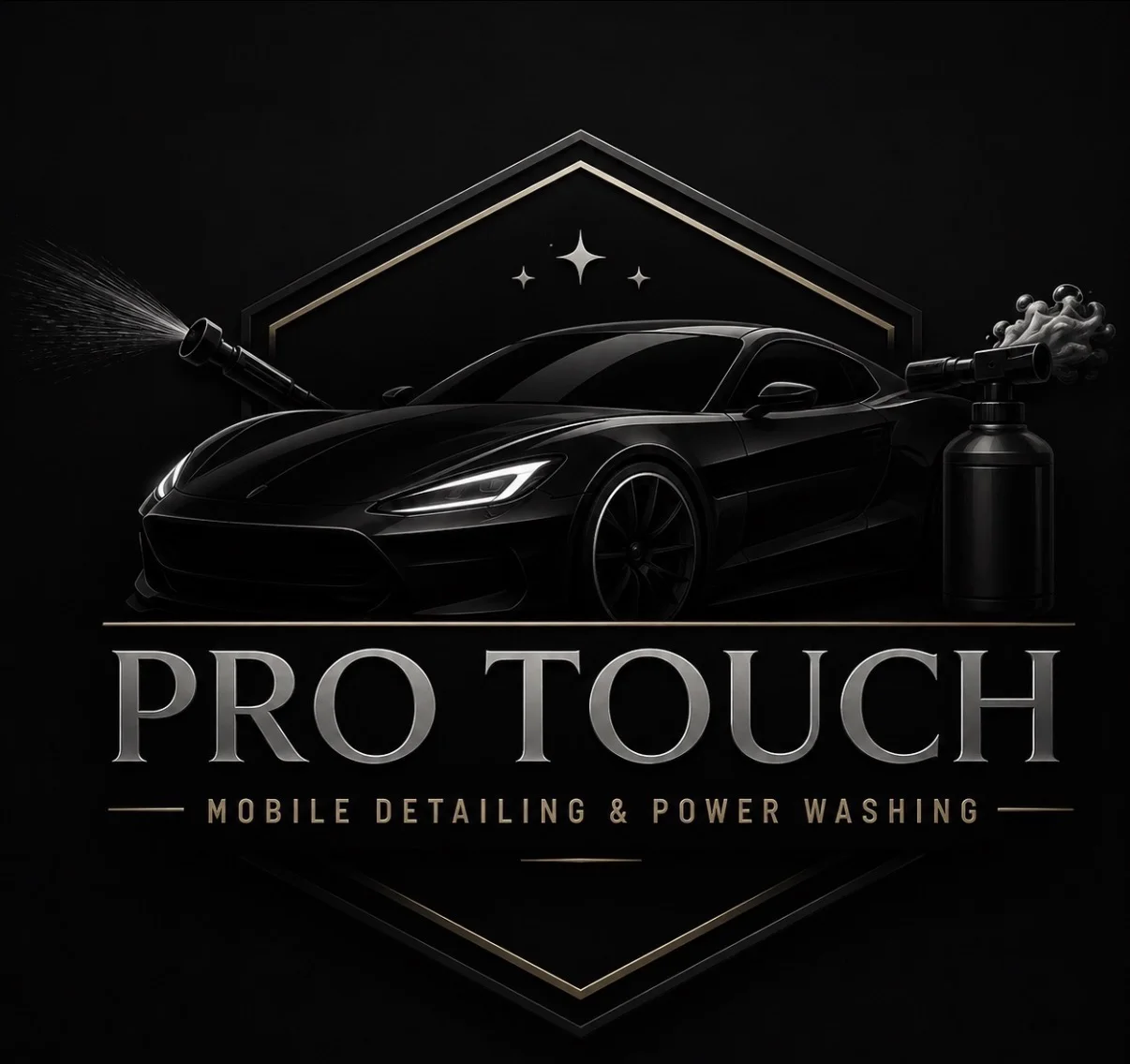 Pro Touch Mobile Detailing & Power Washing