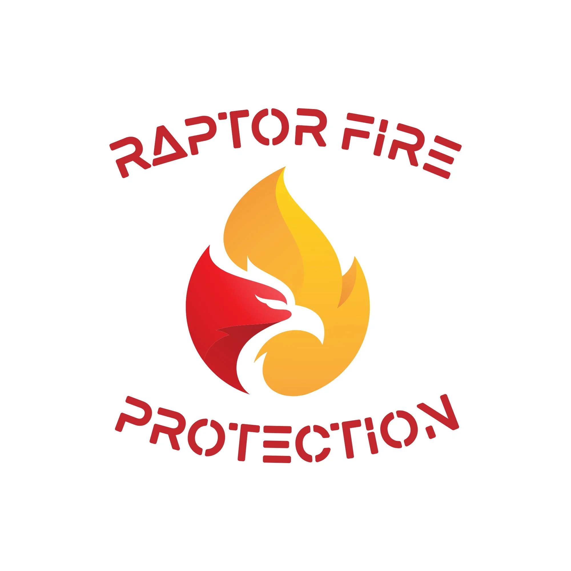 Raptor Inc