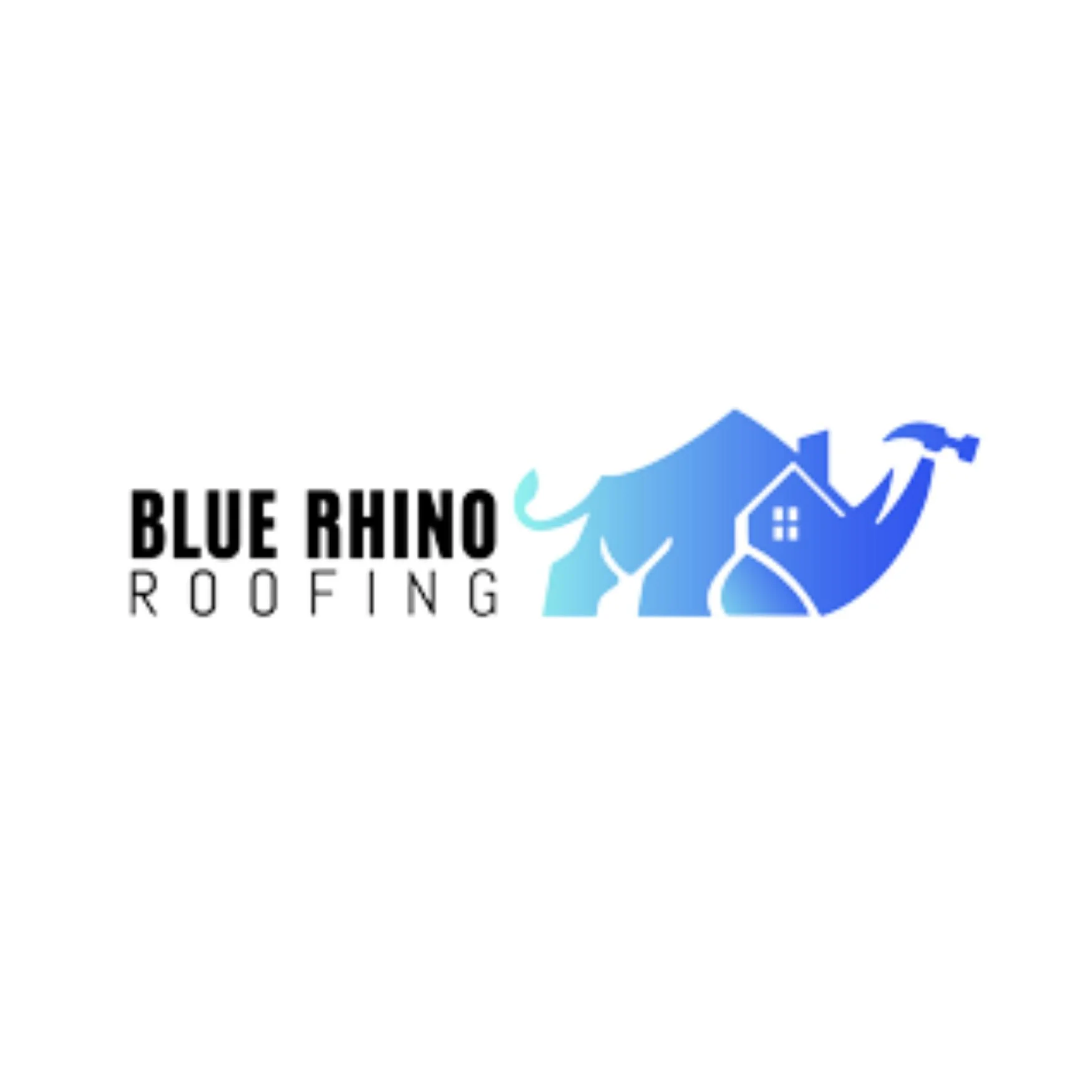 Blue Roofing