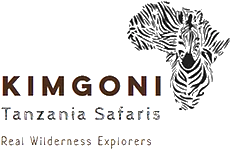 Kimgoni Tanzania Safaris