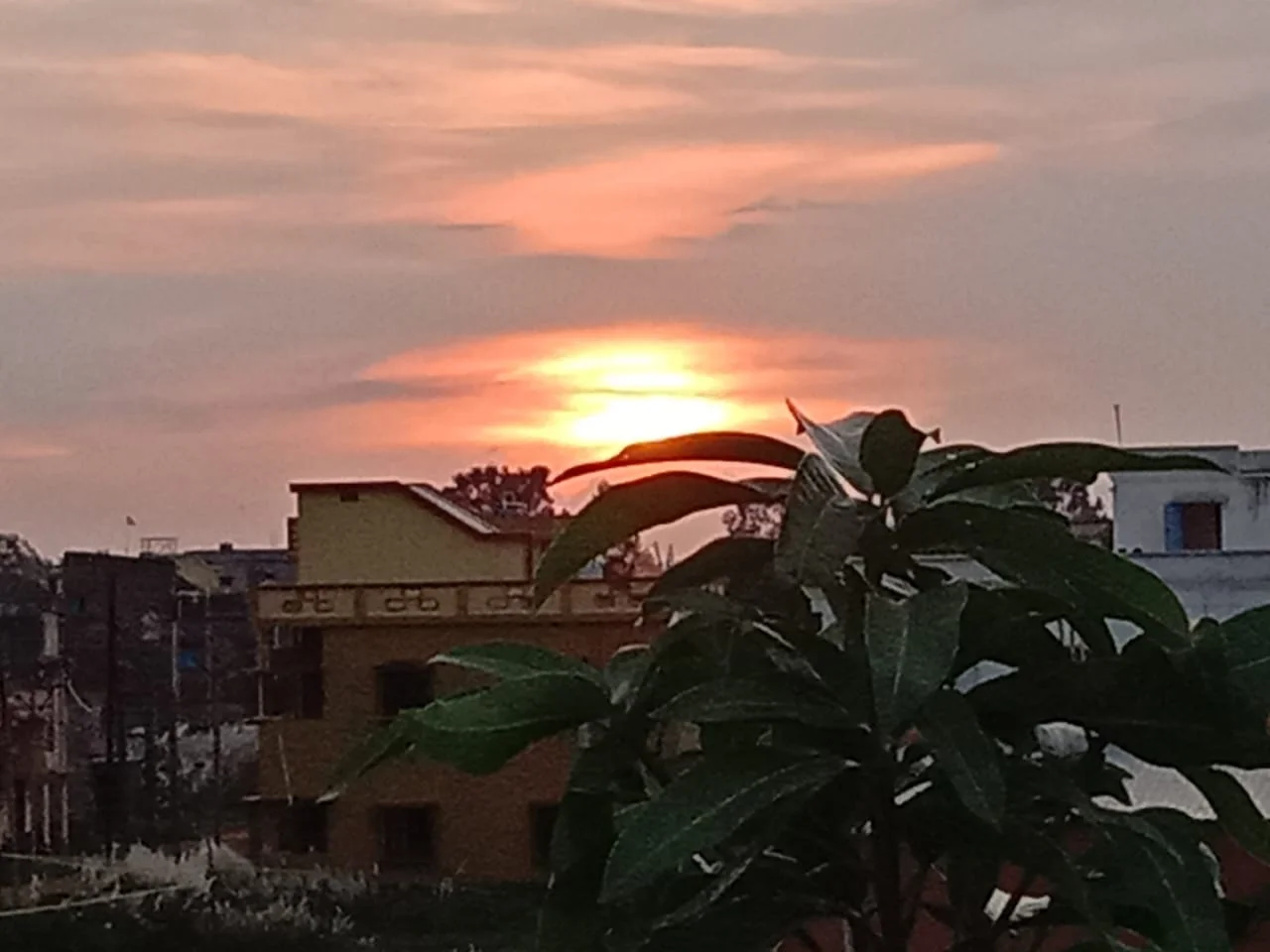 Sudha Das