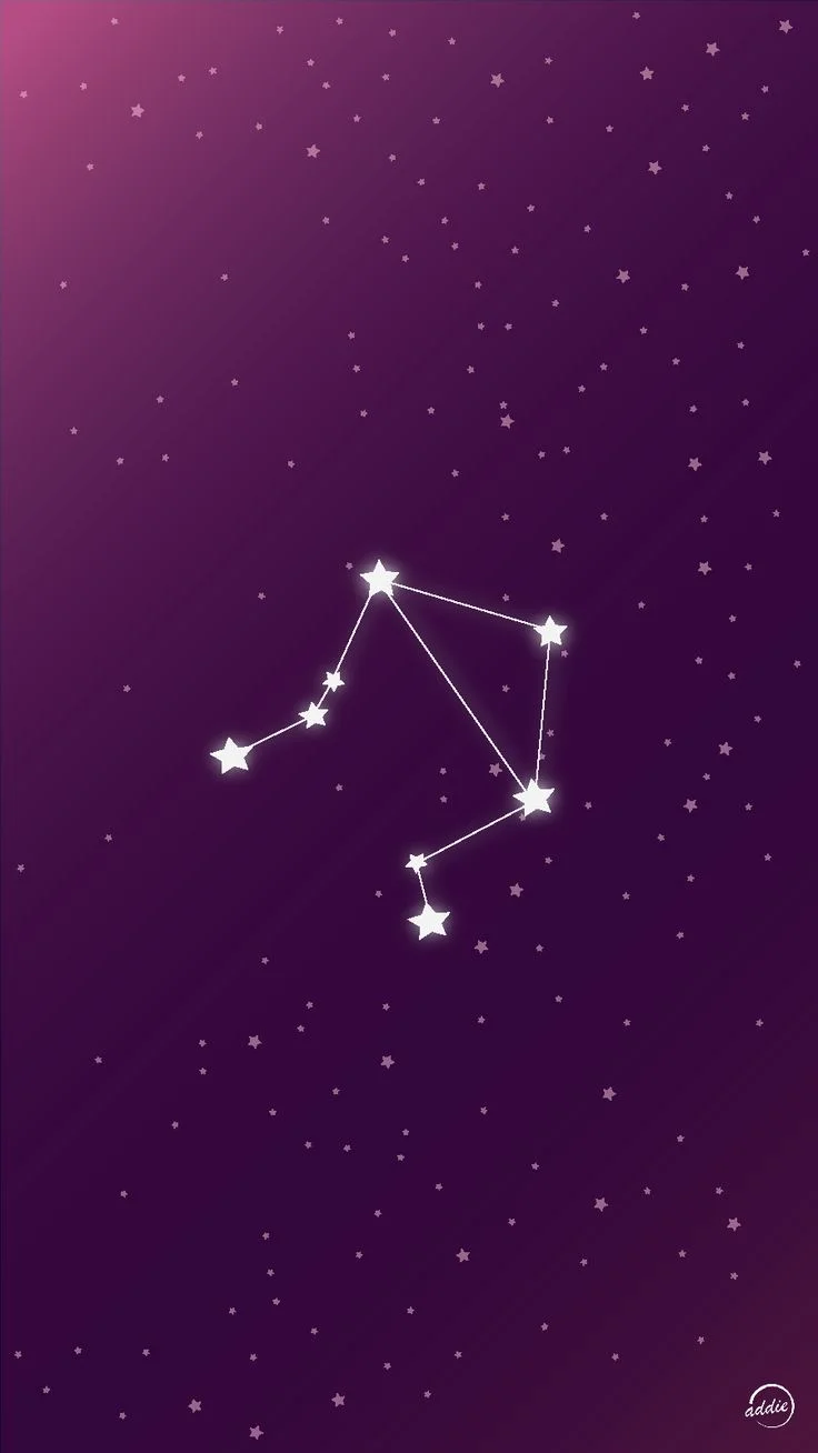 felix libra