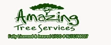 Amazing Service