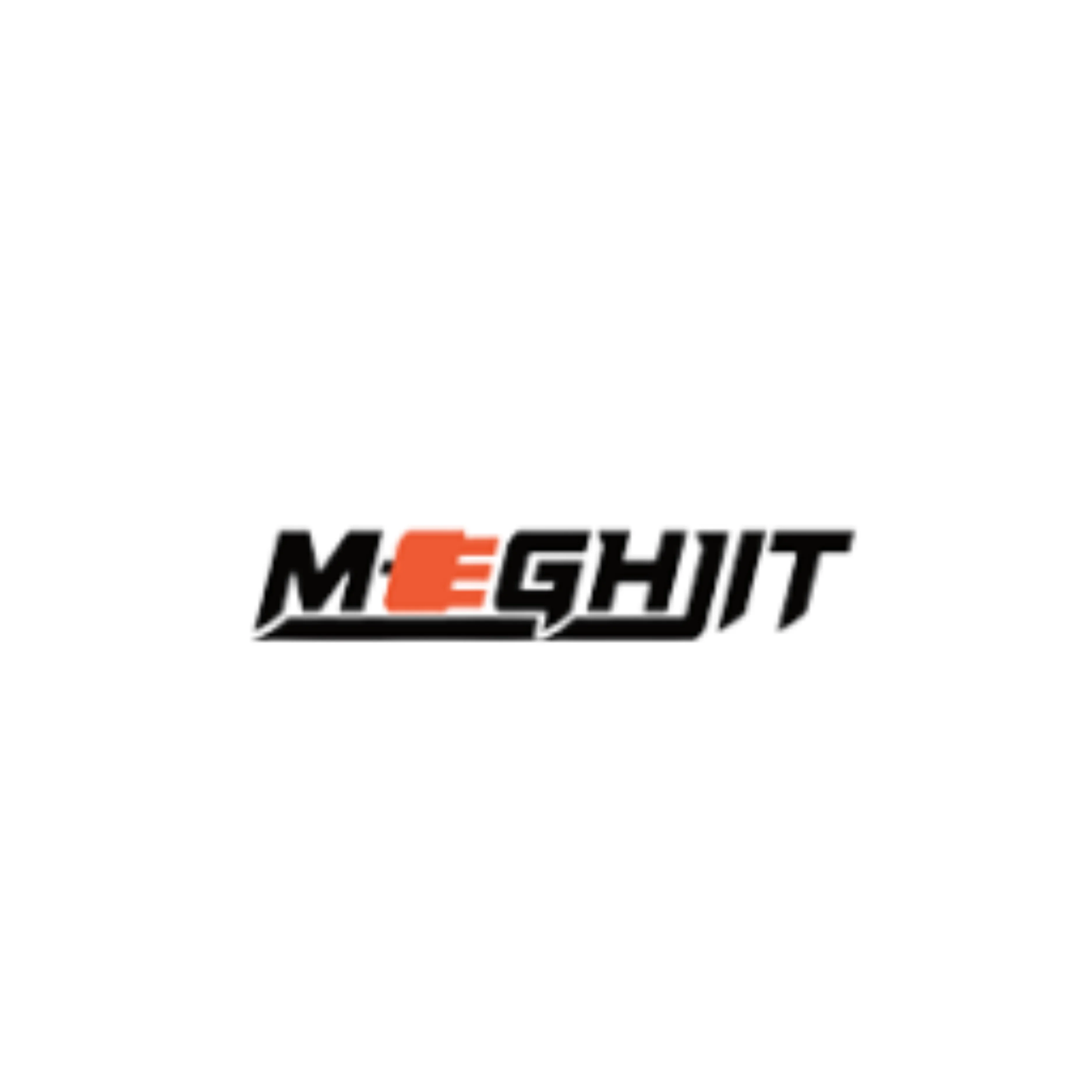 Meghjit Power Solutions LLP