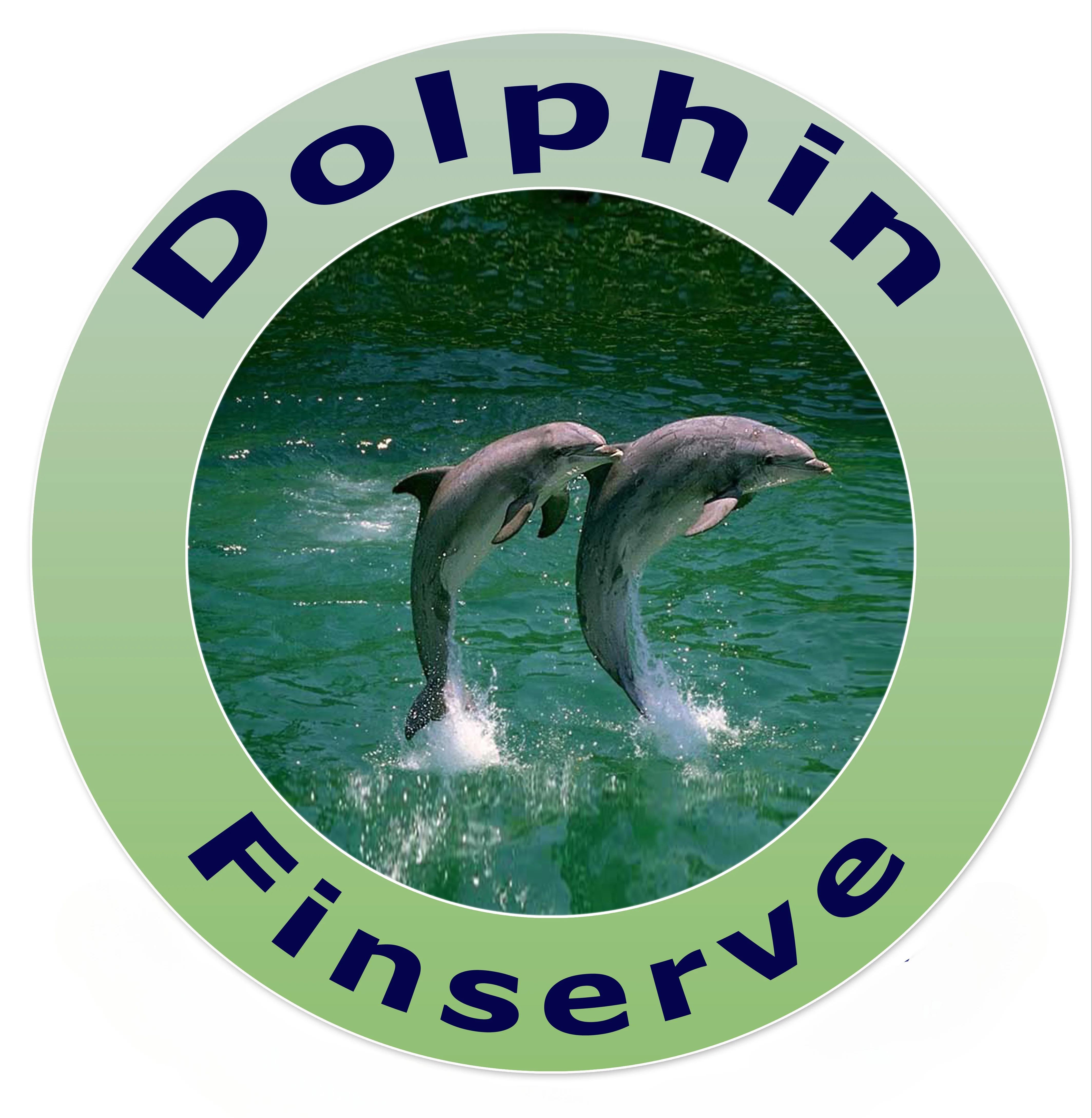 Dolphin FinServe