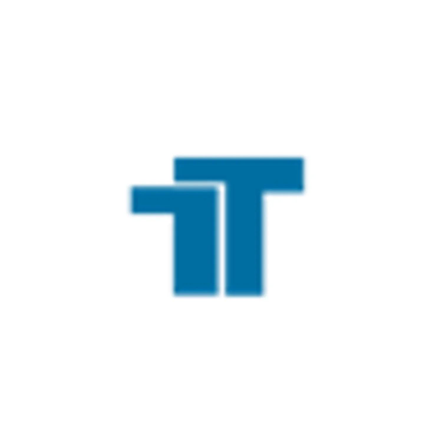 TT Tax and Business Services Inc