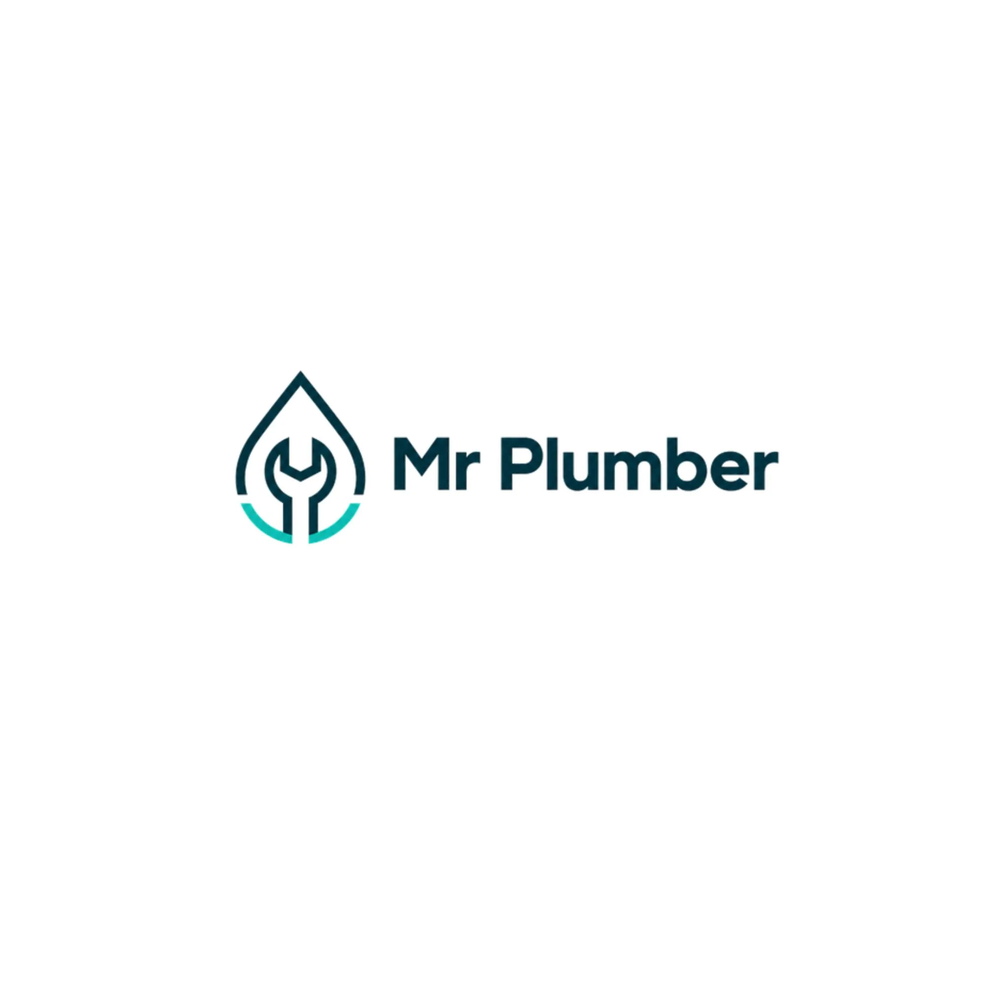 Mr Plumber