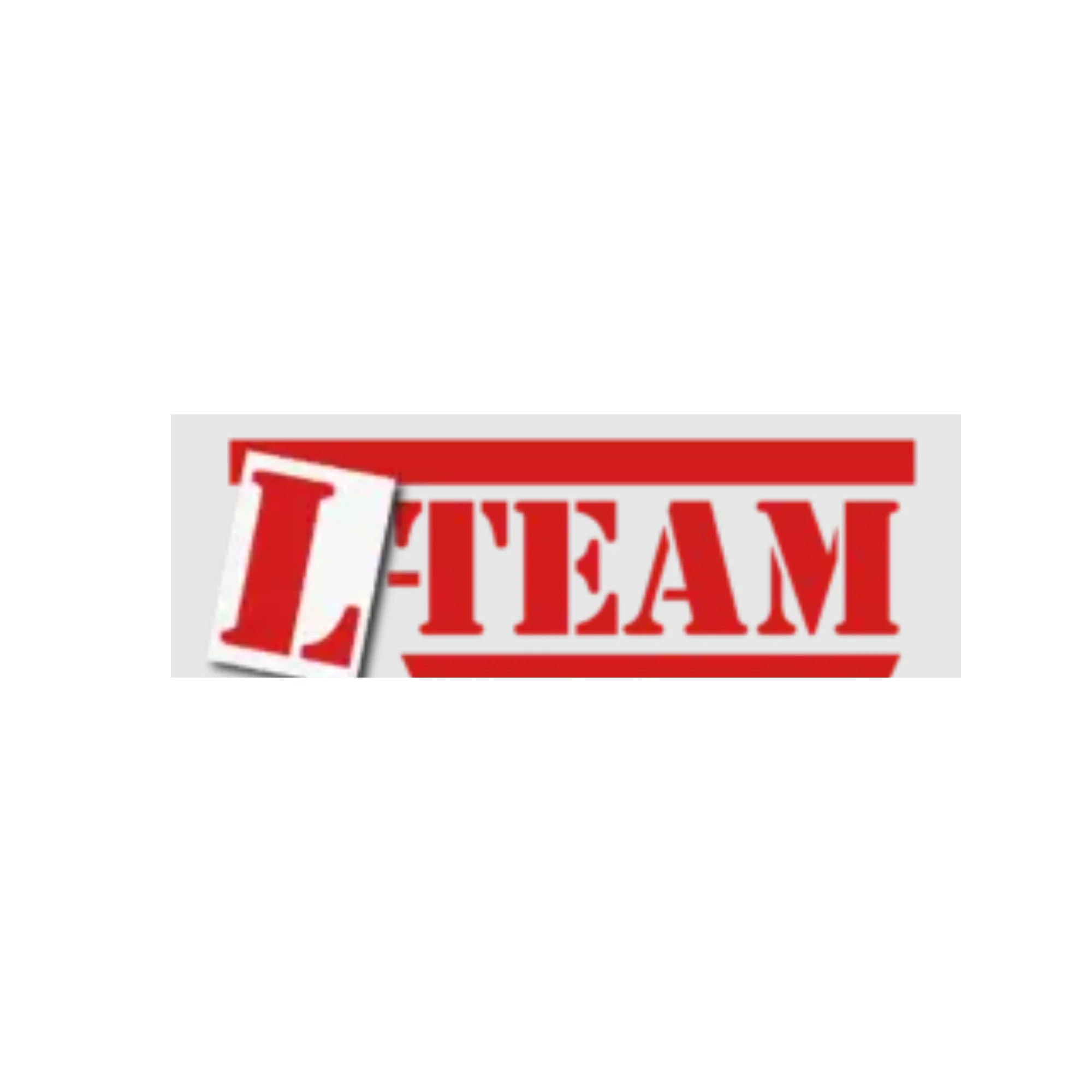 L TEAM L Team Driving School