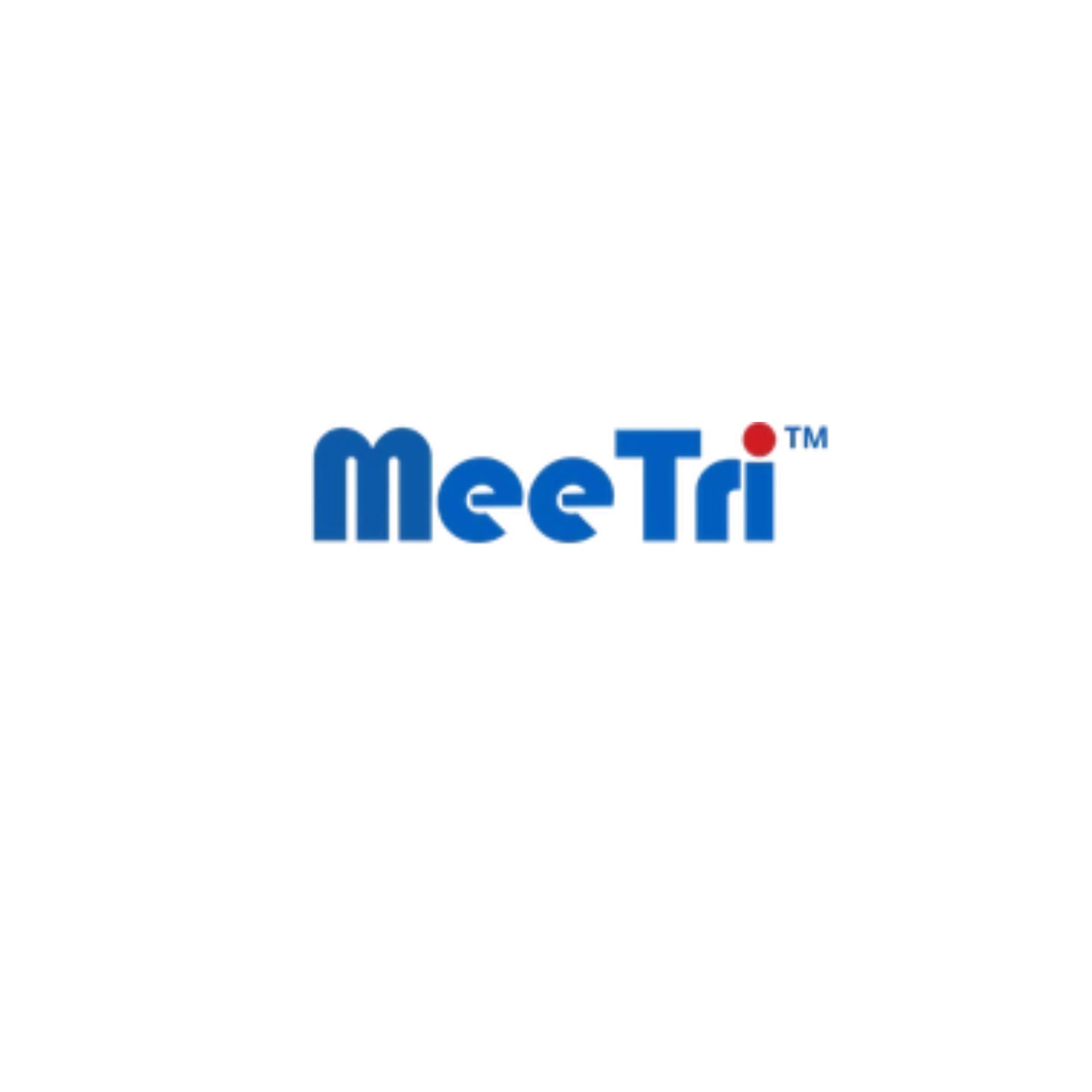 meetri-infotech
